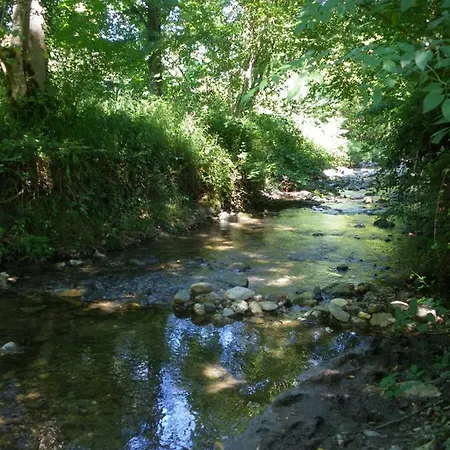 Aux Gites Du Rasteille Fougax-et-Barrineuf